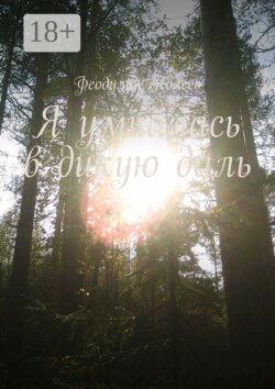 Я умчалась в дикую даль