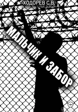 Мальчик и забор