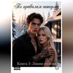 По правилам шторма. Книга 3. Линии излома