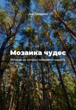 Мозаика чудес. Истории, из которых собирается радость