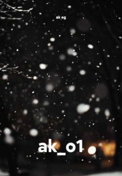 ak_o1