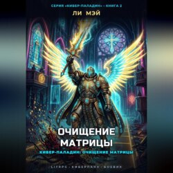 Кибер-Паладин: Очищение Матрицы