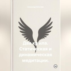 Два крыла. Статическая и динамическая медитации
