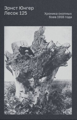 Лесок 125. Хроника окопных боев 1918