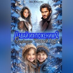 Давай их поженим-2. Операция %22Новый год%22