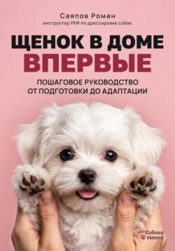 Щенок в доме впервые: пошаговое руководство от подготовки до адаптации