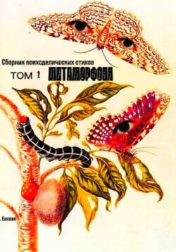 Метаморфоза. Сборник стихов