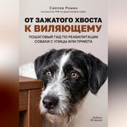 «От зажатого хвоста к виляющему: пошаговый гид по реабилитации собаки с улицы или приюта