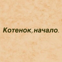 Котёнок, начало.