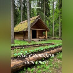 Лес, в котором нет стен