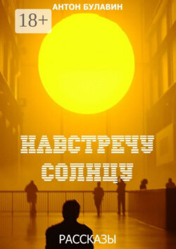 Навстречу солнцу. Рассказы