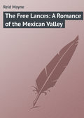 The Free Lances: A Romance of the Mexican Valley