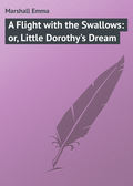 A Flight with the Swallows: or, Little Dorothy\'s Dream