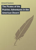 The Pirates of the Prairies: Adventures in the American Desert