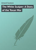 The White Scalper: A Story of the Texan War