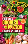 Лекарственные свойства овощей и фруктов вашего участка