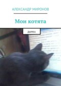 Мои котята. Дымка