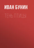 Тень птицы