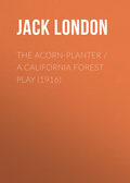 The Acorn-Planter