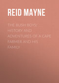 The Bush Boys: History and Adventures of a Cape Farmer and his Family