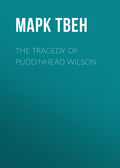 The Tragedy of Pudd\'nhead Wilson