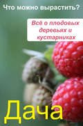 Что можно вырастить? Всё о плодовых деревьях и кустарниках