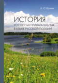 История усеченных прилагательных в языке русской поэзии