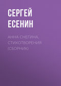 Анна Снегина. Стихотворения (сборник)