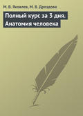 Полный курс за 3 дня. Анатомия человека