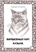 Волшебный кот Кузьма