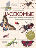 Насекомые. Иллюстрированная энциклопедия начинающего энтомолога (240 популярных видов, которые обитают рядом с нами)