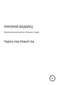 Приключения двух девочек в большом городе. Чудеса под Новый год