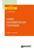 Новая экономическая география. Учебник и практикум для вузов