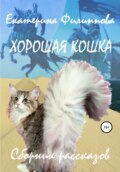 Хорошая кошка