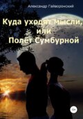 Куда уходят мысли, или Полет Сумбурной