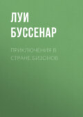 Приключения в стране бизонов