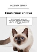 Сиамская кошка. Воспитание, питание, обучение, характер и многое другое о породе сиамская кошка
