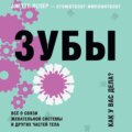 Зубы. Как у вас дела? Всё о связи жевательной системы и других частей тела