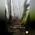 Приключения ДД. Тайна Чёрного леса