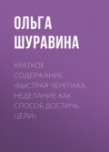 Краткое содержание «Быстрая черепаха. Неделание как способ достичь цели»