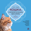 Кошка, у которой осталась одна жизнь