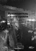 Руководитель пятого уровня