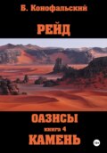 Рейд. Оазисы. Книга 4. Камень