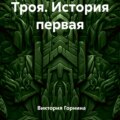 Троя. История первая