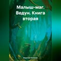 Малыш-маг. Ведун. Книга вторая