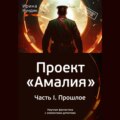 Проект «Амалия». Часть I. Прошлое