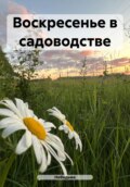 Воскресенье в садоводстве