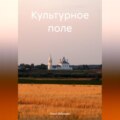 Культурное поле