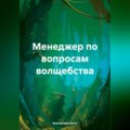 Менеджер по вопросам волщебства