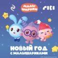 Новый год с Малышариками